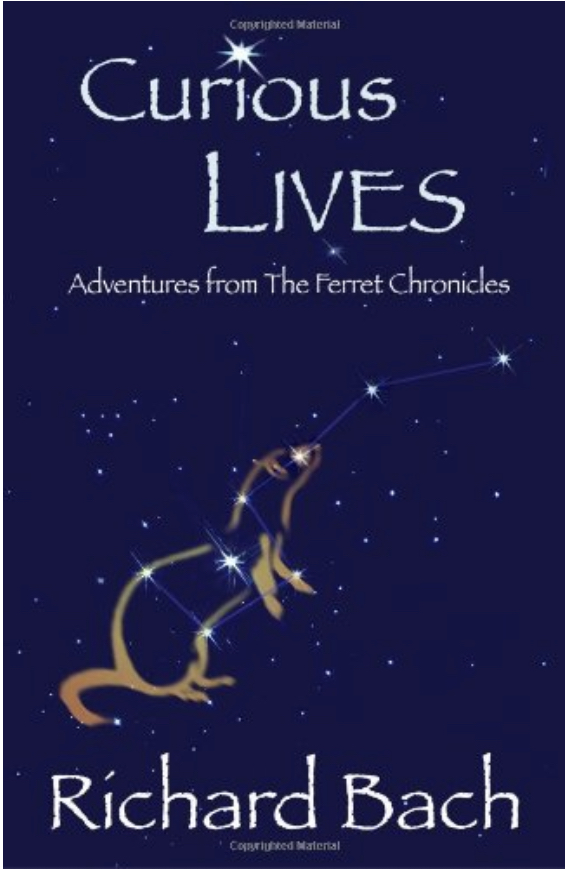 Curious lives, adventures from the ferret Chronicles
